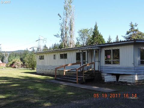 171 Old Detour Rd, Carson, WA 98610 photo 1