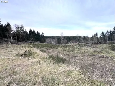 Cochran Rd, Timber, OR 97144 photo 3