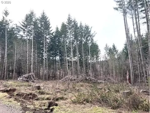 Cochran Rd, Timber, OR 97144 photo 6
