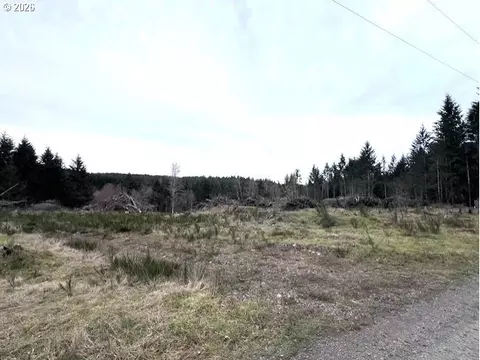 Cochran Rd, Timber, OR 97144 photo 2