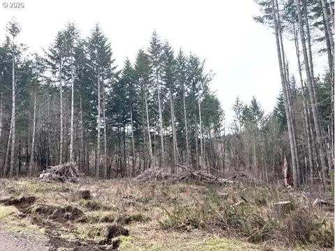 Cochran Rd, Timber, OR 97144 photo 5