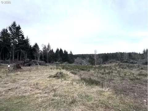 Cochran Rd, Timber, OR 97144