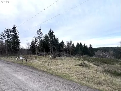 Cochran Rd, Timber, OR 97144 photo 4