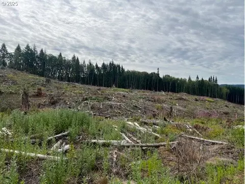 Northrup Creek Rd, Birkenfeld, OR 97016