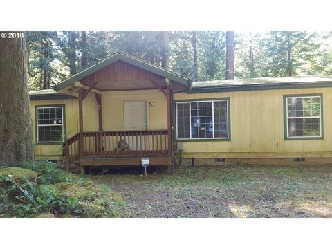 24899 E Hillview Dr, Rhododendron, OR 97049 photo 1