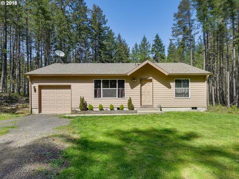 141 Trink Dr, Carson, WA 98610 photo 1