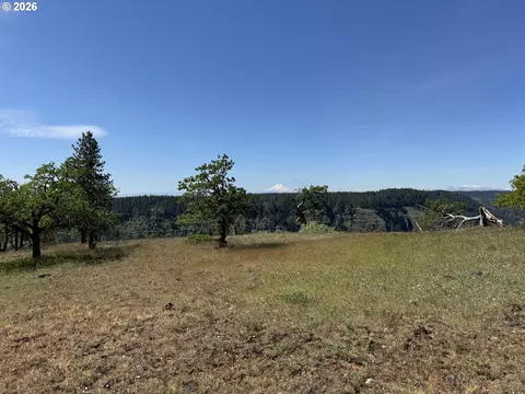 350 Brewer Rd, Appleton, WA 98602 photo 39