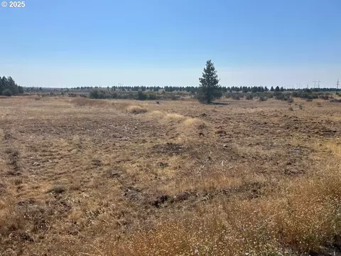 26 Bickleton Highway, Roosevelt, WA 99356
