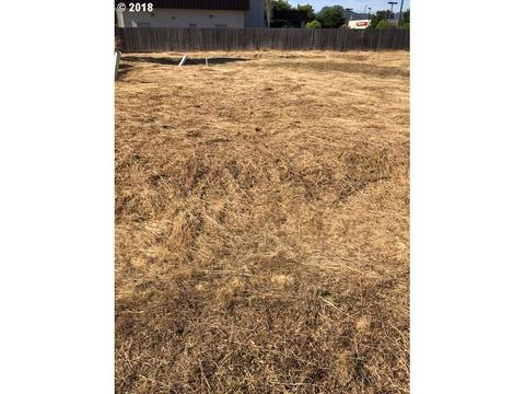 231233 S 41st Pl, Springfield, OR 97477 photo 1