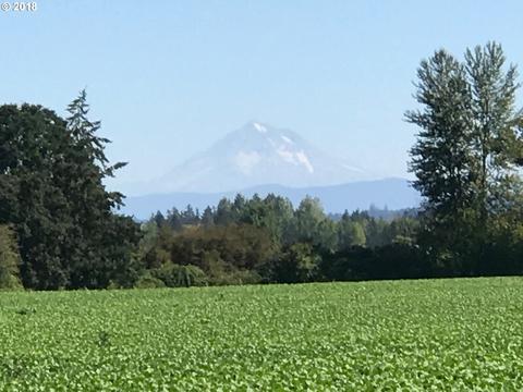 30700 S Cramer Rd, Molalla, OR 97038 photo 1
