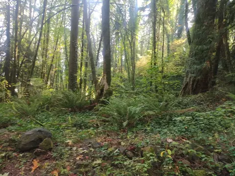 NW Mackay Ave, Portland, OR 97231