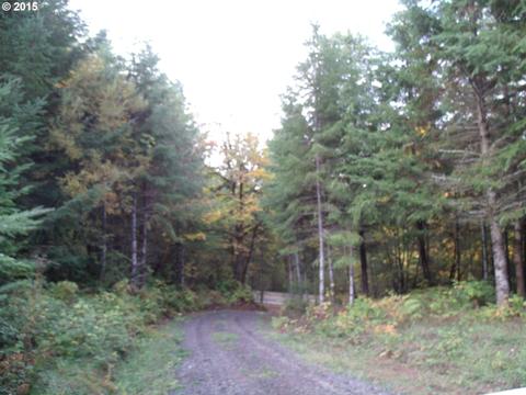 4218 Upper Smith River Rd, Drain, OR 97435 photo 1