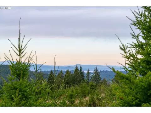 00 Erickson Rd #300, Eugene, OR 97405 photo 11