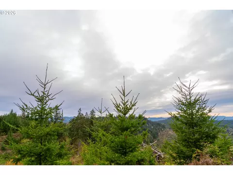 00 Erickson Rd #300, Eugene, OR 97405 photo 16