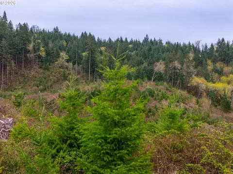 00 Erickson Rd #300, Eugene, OR 97405 photo 5