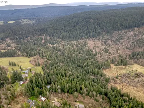 View/Area - 53221 E Marmot Rd, Sandy, OR 97055 photo 2 of 3