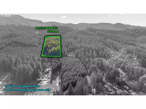 Wendling Rd, Marcola, OR 97454