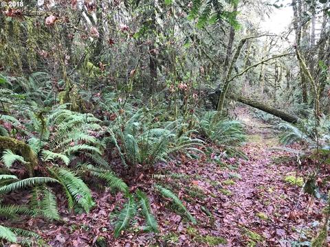 39875 Deerhorn Rd, Springfield, OR 97478 photo 1