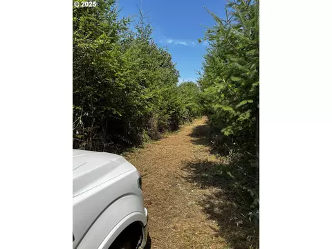 Barker Rd, Goble, OR 97048 photo 7