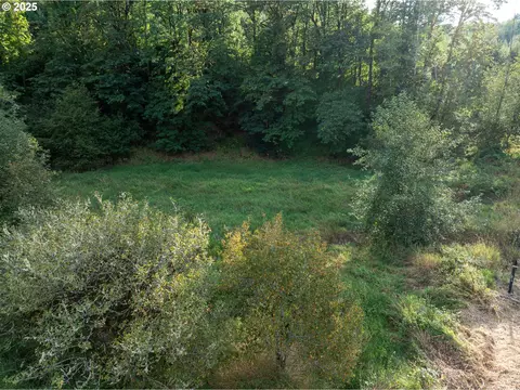 Barker Rd, Goble, OR 97048 photo 15