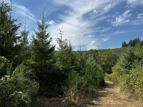 Barker Rd, Goble, OR 97048 photo 9