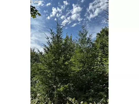 Barker Rd, Goble, OR 97048 photo 6