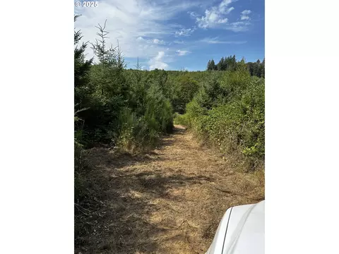 Barker Rd, Goble, OR 97048 photo 10