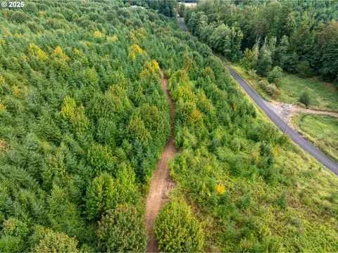 Barker Rd, Goble, OR 97048 photo 2