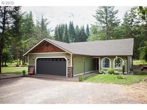 282 Josheanka Dr, Carson, WA 98610 photo 1