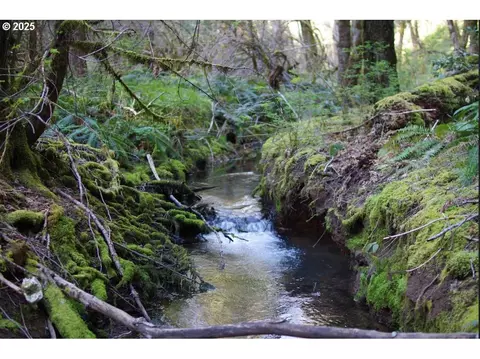 0 Davis Creek Rd, Selma, OR 97538