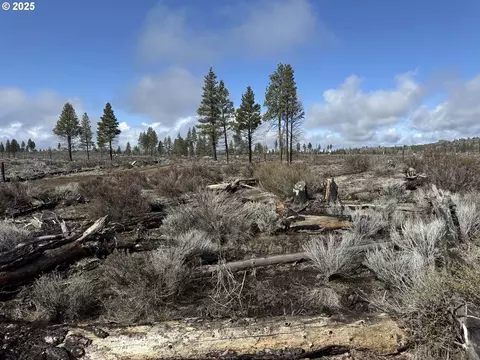 mountain quail ln, Sprague River, OR 97639