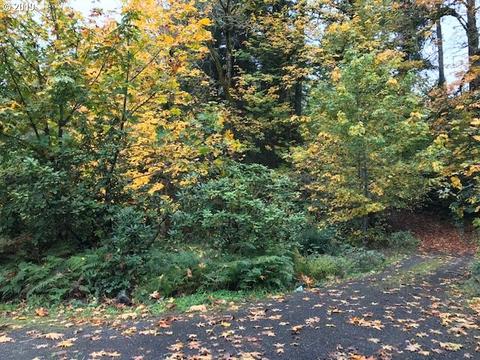 40790 SE Latigo Ln, Sandy, OR 97055 photo 1