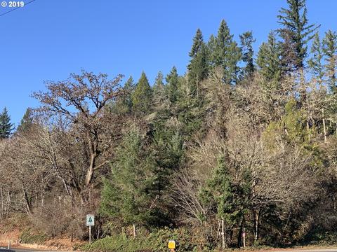 175 Upper Smith River Rd, Drain, OR 97435 photo 1