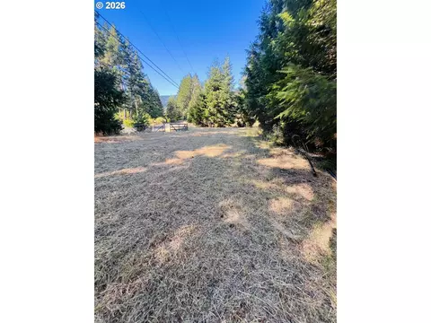 Agness Rd, Agness, OR 97406 photo 10