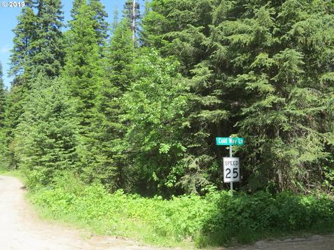 77478 Cold Way Loop, Weston, OR 97886 photo 1