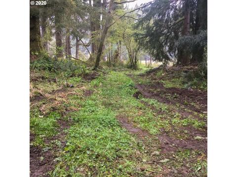 8305 Duncan Island Rd, Mapleton, OR 97453 photo 1