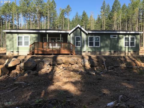 181 Trink Dr, Carson, WA 98610 photo 1