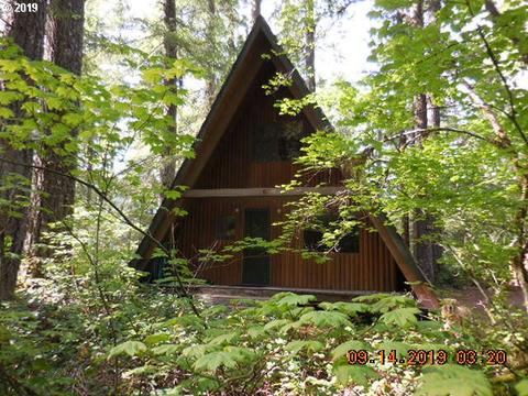Cabin 75 Northwoods Cougar Wa 98616 28 Photos Mls 19540178