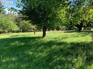 244 Baird Dr, Yoncalla, OR 97499 photo 1