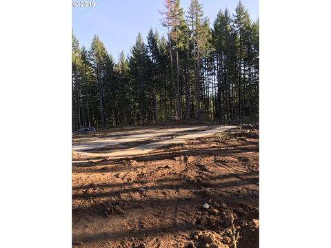 151 Trink Dr, Carson, WA 98610 photo 1