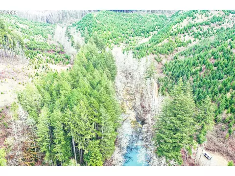 marys peak rd, Blodgett, OR 97326