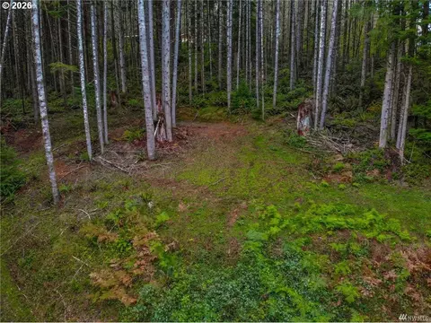 1 Lot Bison Run, Longview, WA 98632 photo 4