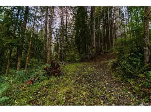 1 Lot Bison Run, Longview, WA 98632 photo 6