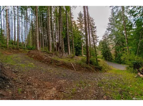 1 Lot Bison Run, Longview, WA 98632 photo 2