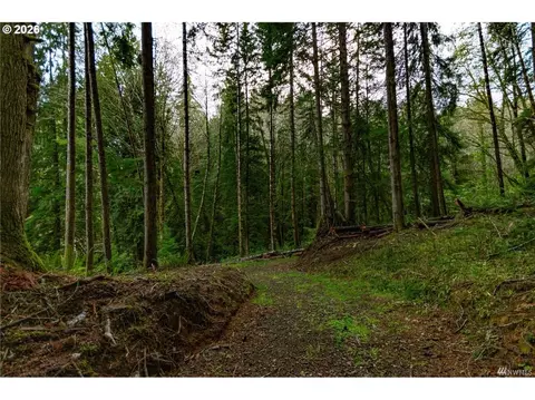 1 Lot Bison Run, Longview, WA 98632 photo 7