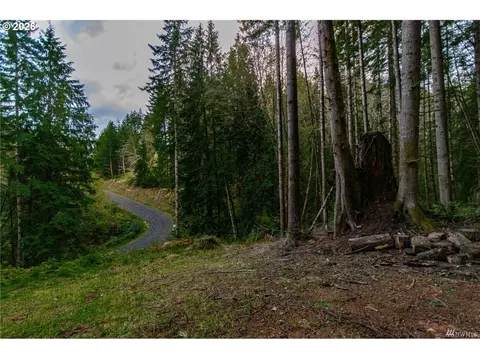 1 Lot Bison Run, Longview, WA 98632 photo 8