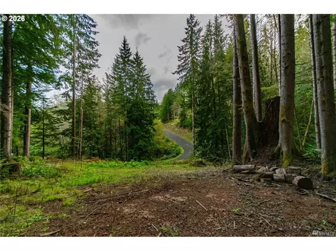 1 Lot Bison Run, Longview, WA 98632 photo 9