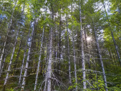 00 Meadow Lake Rd, Carlton, OR 97111