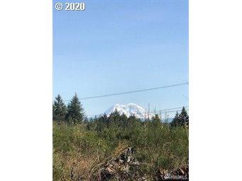 311 Coma Rd, Vader, WA 98593 photo 1