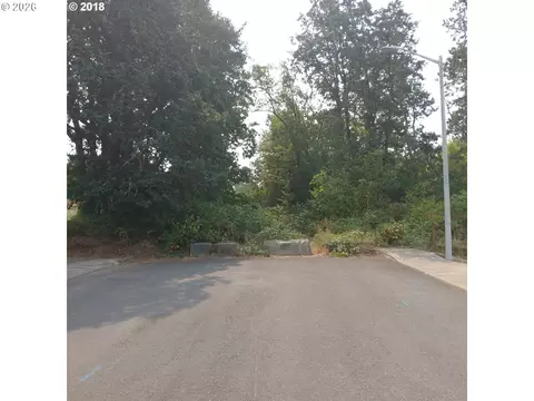 SW Hill Drive, Willamina, OR 97396 photo 7